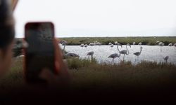 Doğa ve lezzet tutkunları bu turları çok sevecek
