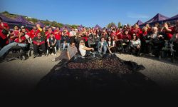 Zeytinleri toplayıp kurdular... İzmir'de hasat engel tanımadı!