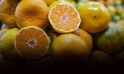 Mandalina ihracatında rekor artış: 10 ayda 375 milyon dolar!