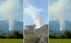 Muğla'da orman yangını kontrol altında!