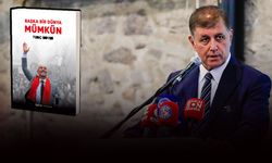 Sayıştay Soyer'in kitabı için 'şahsi tanıtım' demişti: Yapacağım bir şey varsa yapacağım!