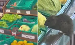 Üç harfli market zincirinde mide bulandıran görüntü