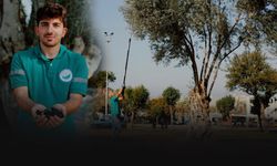 Balçova'nın parklarında zeytin hasadı... Hedef 450 litre yağ!