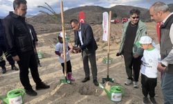 Yangına dirençli köyler bal ormanlarıyla tat bulacak