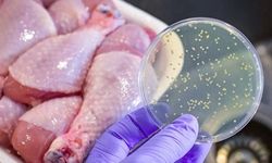 Yanlış tüketildiğinde tehlike saçan 10 yiyecek