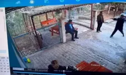 12 yaşındaki öğrenci okul müdürünü tüfekle vurdu