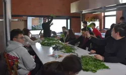 Liseliler, gıda krizine karşı yenilebilir otları tanıyor