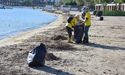 Bodrum'da gönüllülerden kıyı temizliği!
