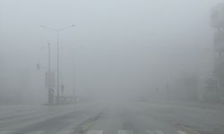 Denizli'de sis ulaşımı etkiledi