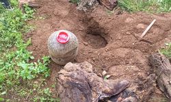 İzmir'de uyuşturucu operasyonunda yakalanan zanlı tutuklandı