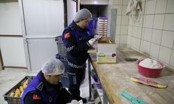 Muğla'da gıda denetimi yapıldı