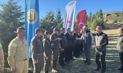 Dalaman'da yanan alanlar tekrar yeşerdi