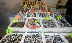 Kuşadası’nda balık tezgahlarında çeşit bolluğu yaşanıyor