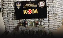Muğla'da 104 bin şişe kaçak içki ele geçirildi