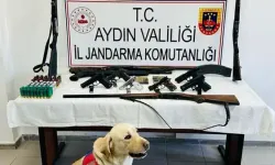 Aydın'da yasa dışı silah ticareti operasyonu: 1 kişi gözaltında!