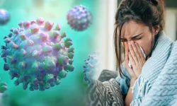 Sağlık Bakanlığı'ndan 'H3N2 virüsü' açıklaması