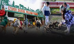 Büyükşehir'den anlamlı uygulama... Çocuklara hayvan sevgisi kazandırılıyor!