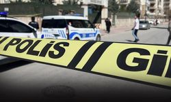 Geri gelen pikabın altında kaldı... Çocuk feci şekilde can verdi!