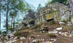 Muğla'da ağaçtan düşen kişi hayatını kaybetti