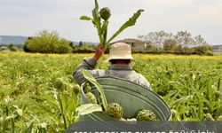 İzmir’in üç güçlü sürdürülebilir turizm hikâyesi “Halkın Seçimi” finalinde