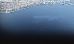 Körfez'in 'katilleri' bulunamıyor... 10 günde ikinci çevre katliamı!