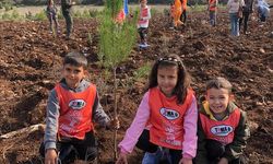 '81 İlde 81 Orman' projesi Muğla'da devam ediyor