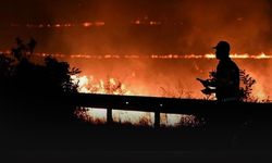 Buca’daki orman yangını davasında keşif kararı