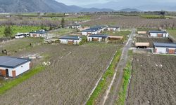 Muğla'da imara aykırı yapılara geçit yok: Yıkımlar başladı!