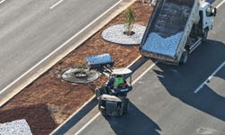 Aydın'da peyzaj çalışmaları sürüyor