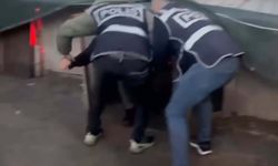 Firari hükümlü, saklandığı kümeste öksürünce yakalandı