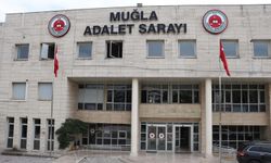 Kendisini polis olarak tanıttığı kadını, 2 milyon lira dolandıran şüpheli tutuklandı