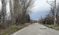 Kenti kuvvetli fırtına vurdu: Ağaçlar devrildi!