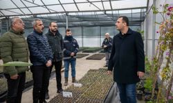 Bornova kendi yeşilini kendi üretiyor: 2026’ya 75 bin fidanla hazırlık