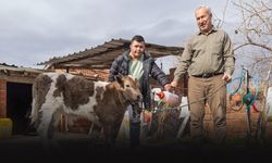 İzmir Büyükşehir Belediyesi’nden çiftçilere buzağı kiti desteği