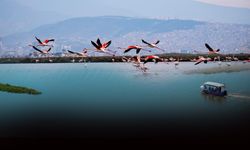 Büyükşehir'den doğa, kültür ve lezzet tutkunları için kaçırılmaz turlar!