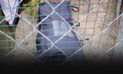 İzmir'de kadın cinayeti! Boğarak öldürüp toprağa gömmüş