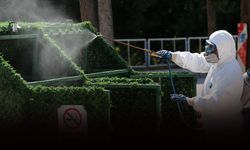 Karşıyaka’da kışa özel ilaçlama