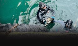 Vapur iskelesinin altında kalan kedi sağ salim kurtarıldı!