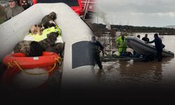 İtfaiye çaya düşen 9 köpek yavrusunun imdadına yetişti!