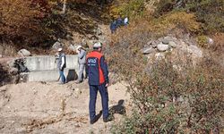 Kütahya'da bir kişi ormanda ölü bulundu