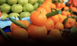 Narenciye ihracatından 1,4 milyar dolarlık gelir
