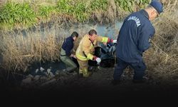 Kayıp olarak aranıyordu: Yaşlı adam dere yatağında ölü bulundu!