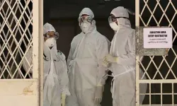 Yarasalardan bulaşan ölümcül virüse karşı uyarı!