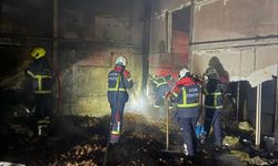 Çam fıstığı işleme tesisinde çıkan yangın söndürüldü