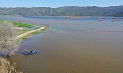 Aydın'da taşkın sonucu su altında kalan tarım arazilerinde balık avlanıyor