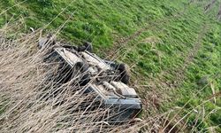 Kontrolden çıkan otomobil tarlaya devrildi: 2 kişi hastanelik!