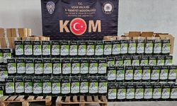 Uşak'ta taklit-tağşiş yapılan bin 370 litre zeytinyağı ele geçirildi