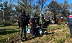 Kaçak göçmenleri 'dağın arkası İstanbul' diyerek, araziye bırakmışlar