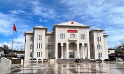 Kaymakamın koruması ve şoförü tutuklandı