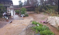 Köyceğiz'de sağanak; evleri su bastı, dereler taştı